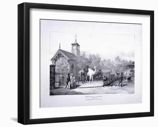 Zoological Gardens, Regent's Park, Marylebone, London, 1835-George Scharf-Framed Giclee Print