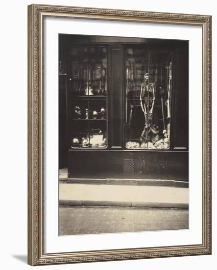 Zoologist's Shop-Eugene Atget-Framed Art Print