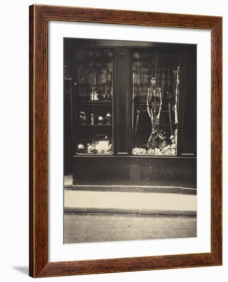 Zoologist's Shop-Eugene Atget-Framed Art Print