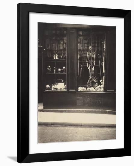 Zoologist's Shop-Eugene Atget-Framed Art Print