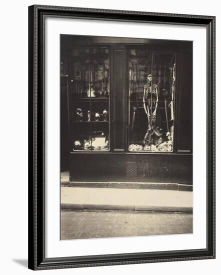 Zoologist's Shop-Eugene Atget-Framed Art Print