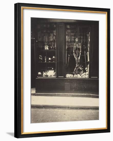 Zoologist's Shop-Eugene Atget-Framed Art Print