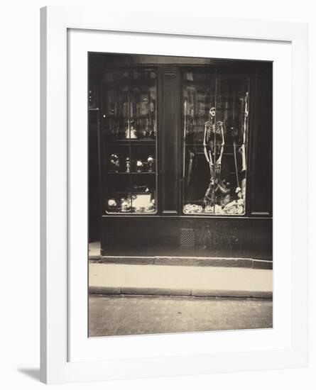 Zoologist's Shop-Eugene Atget-Framed Art Print