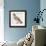 Zoology: Birds, Hazel Hen (Bonasa Bonasia)-null-Framed Giclee Print displayed on a wall
