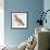 Zoology: Birds, Hazel Hen (Bonasa Bonasia)-null-Framed Giclee Print displayed on a wall