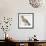 Zoology: Birds, Hazel Hen (Bonasa Bonasia)-null-Framed Giclee Print displayed on a wall