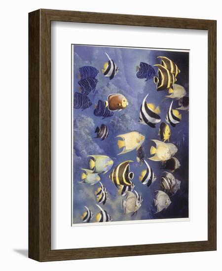 Zoology: Fishes: Different Examples-null-Framed Giclee Print