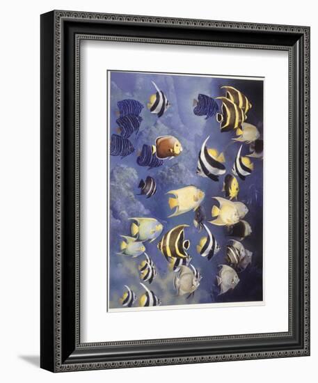 Zoology: Fishes: Different Examples-null-Framed Giclee Print