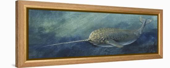 Zoology: Fishes: Mammalia, Cetacea, Narwhal (Monodon Monoceros)-null-Framed Premier Image Canvas