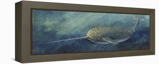 Zoology: Fishes: Mammalia, Cetacea, Narwhal (Monodon Monoceros)-null-Framed Premier Image Canvas