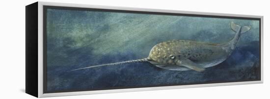 Zoology: Fishes: Mammalia, Cetacea, Narwhal (Monodon Monoceros)-null-Framed Premier Image Canvas