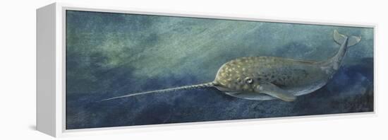 Zoology: Fishes: Mammalia, Cetacea, Narwhal (Monodon Monoceros)-null-Framed Premier Image Canvas