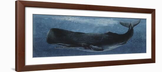 Zoology: Fishes: Mammalia, Cetacea, Sperm Whale-null-Framed Giclee Print