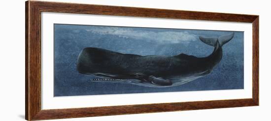 Zoology: Fishes: Mammalia, Cetacea, Sperm Whale-null-Framed Giclee Print