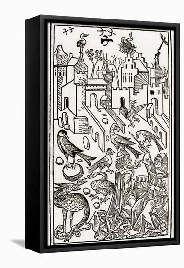 Zoology Lesson: Birds, 1491 (Wood Engraving)-Unknown Artist-Framed Premier Image Canvas