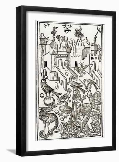 Zoology Lesson: Birds, 1491 (Wood Engraving)-Unknown Artist-Framed Giclee Print