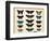 Zoology: Plate of Butterflies Painted on Glass by John James Audubon (1780-1851) 19Th Century Colle-John James Audubon-Framed Giclee Print