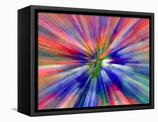 Zoom Abstract of Pansy Flowers-Charles R. Needle-Framed Premier Image Canvas