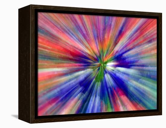 Zoom Abstract of Pansy Flowers-Charles R. Needle-Framed Premier Image Canvas