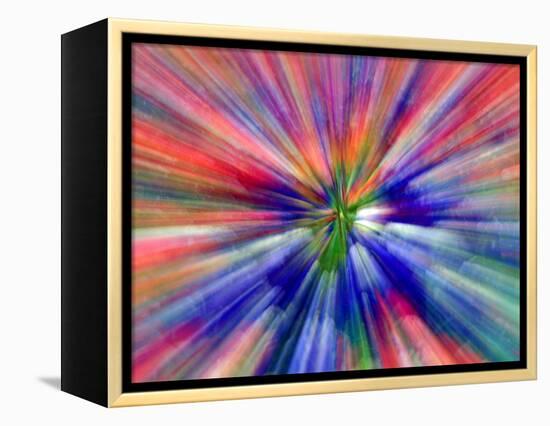 Zoom Abstract of Pansy Flowers-Charles R. Needle-Framed Premier Image Canvas