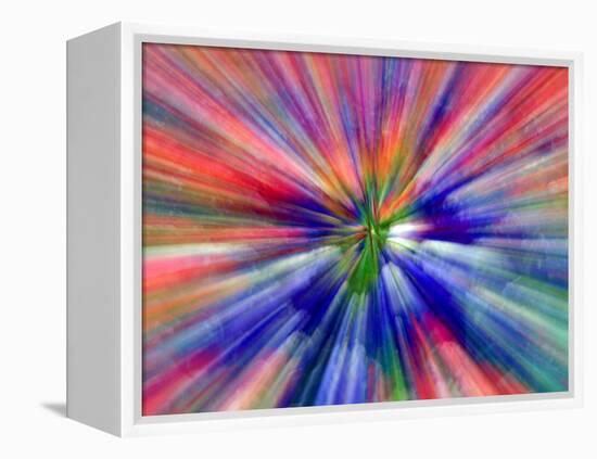 Zoom Abstract of Pansy Flowers-Charles R. Needle-Framed Premier Image Canvas