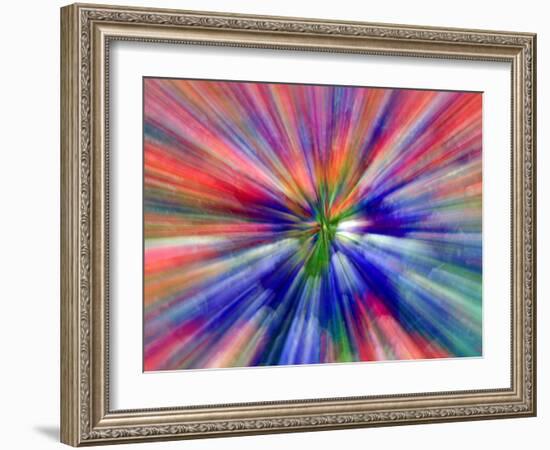 Zoom Abstract of Pansy Flowers-Charles R. Needle-Framed Photographic Print