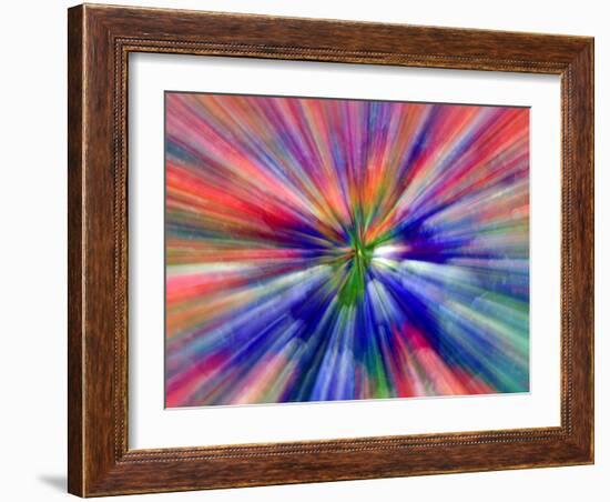 Zoom Abstract of Pansy Flowers-Charles R. Needle-Framed Photographic Print