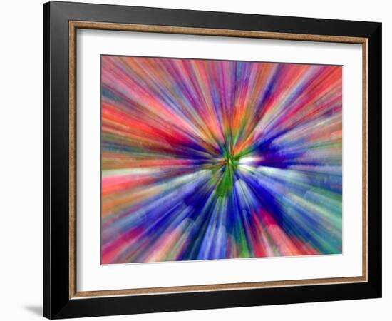 Zoom Abstract of Pansy Flowers-Charles R. Needle-Framed Photographic Print