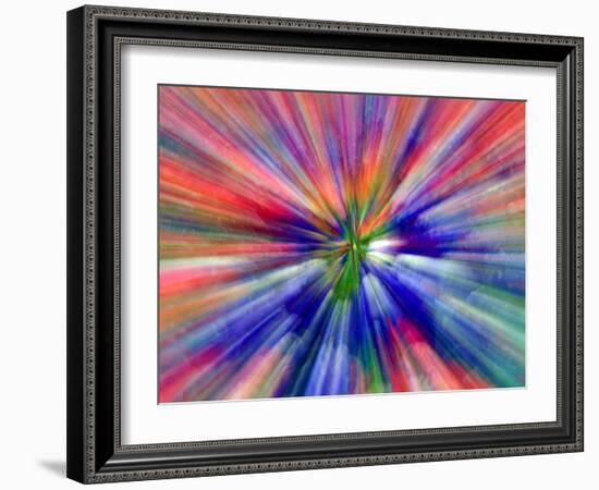 Zoom Abstract of Pansy Flowers-Charles R. Needle-Framed Photographic Print