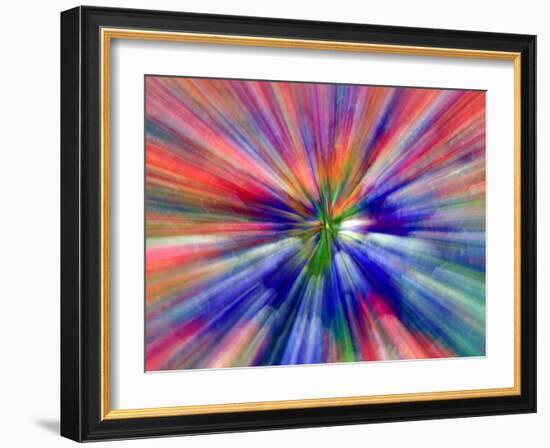 Zoom Abstract of Pansy Flowers-Charles R. Needle-Framed Photographic Print