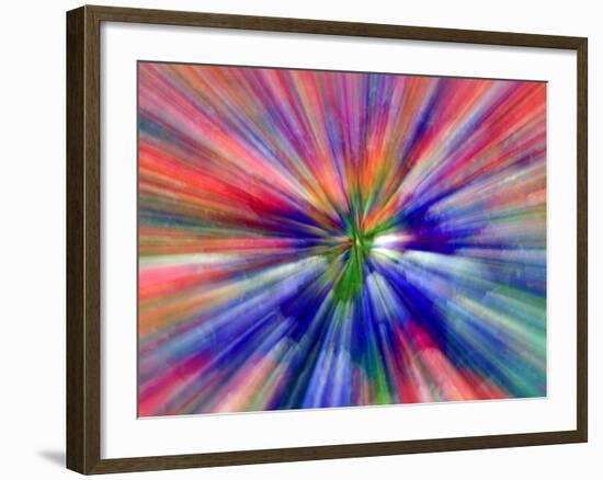 Zoom Abstract of Pansy Flowers-Charles R. Needle-Framed Photographic Print