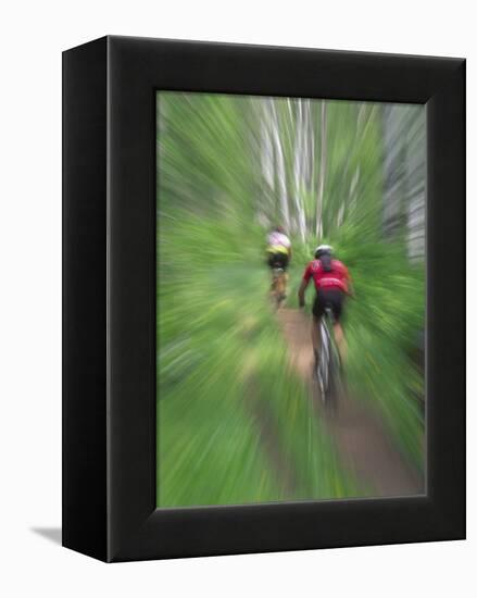 Zoom Effect of Mountain Bike Racers on Trail in Aspen Forest, Methow Valley, Washington, USA-Steve Satushek-Framed Premier Image Canvas