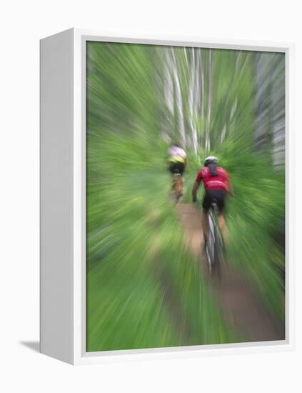 Zoom Effect of Mountain Bike Racers on Trail in Aspen Forest, Methow Valley, Washington, USA-Steve Satushek-Framed Premier Image Canvas