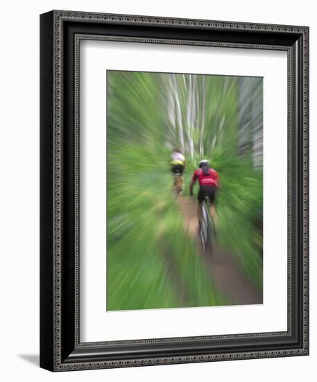 Zoom Effect of Mountain Bike Racers on Trail in Aspen Forest, Methow Valley, Washington, USA-Steve Satushek-Framed Photographic Print