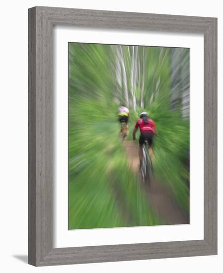 Zoom Effect of Mountain Bike Racers on Trail in Aspen Forest, Methow Valley, Washington, USA-Steve Satushek-Framed Photographic Print