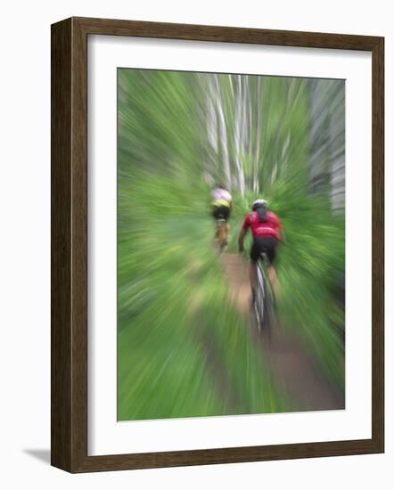 Zoom Effect of Mountain Bike Racers on Trail in Aspen Forest, Methow Valley, Washington, USA-Steve Satushek-Framed Photographic Print