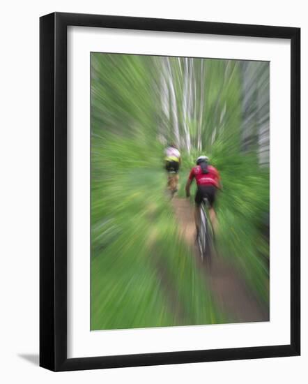 Zoom Effect of Mountain Bike Racers on Trail in Aspen Forest, Methow Valley, Washington, USA-Steve Satushek-Framed Photographic Print