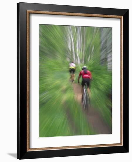 Zoom Effect of Mountain Bike Racers on Trail in Aspen Forest, Methow Valley, Washington, USA-Steve Satushek-Framed Photographic Print