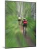 Zoom Effect of Mountain Bike Racers on Trail in Aspen Forest, Methow Valley, Washington, USA-Steve Satushek-Mounted Photographic Print
