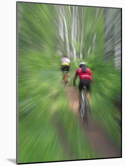 Zoom Effect of Mountain Bike Racers on Trail in Aspen Forest, Methow Valley, Washington, USA-Steve Satushek-Mounted Photographic Print