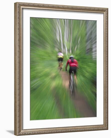 Zoom Effect of Mountain Bike Racers on Trail in Aspen Forest, Methow Valley, Washington, USA-Steve Satushek-Framed Photographic Print