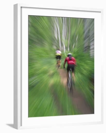 Zoom Effect of Mountain Bike Racers on Trail in Aspen Forest, Methow Valley, Washington, USA-Steve Satushek-Framed Photographic Print