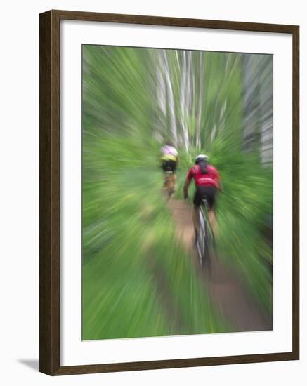 Zoom Effect of Mountain Bike Racers on Trail in Aspen Forest, Methow Valley, Washington, USA-Steve Satushek-Framed Photographic Print