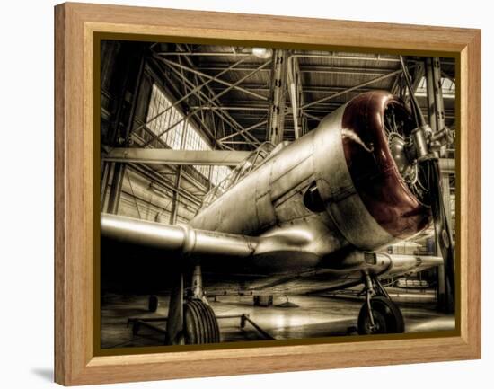 Zoom-Stephen Arens-Framed Premier Image Canvas