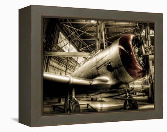 Zoom-Stephen Arens-Framed Premier Image Canvas