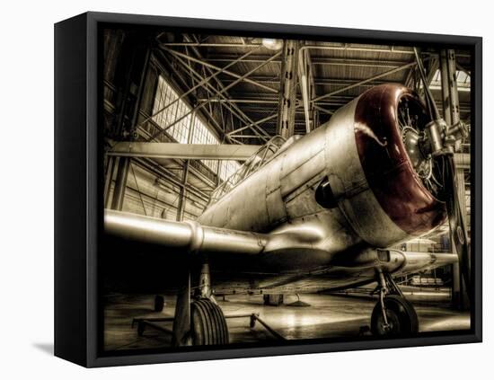 Zoom-Stephen Arens-Framed Premier Image Canvas