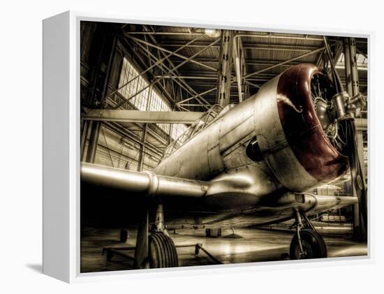 Zoom-Stephen Arens-Framed Premier Image Canvas