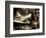 Zoom-Stephen Arens-Framed Photographic Print