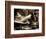 Zoom-Stephen Arens-Framed Photographic Print