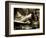 Zoom-Stephen Arens-Framed Photographic Print